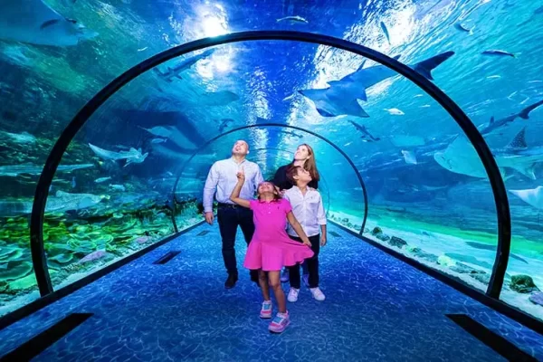 The National Aquarium Abu Dhabi