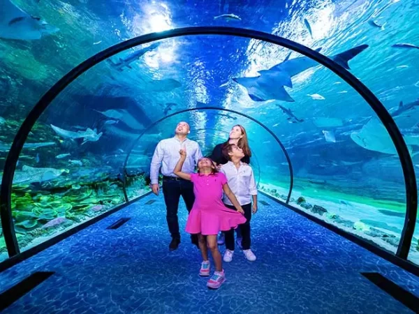 The National Aquarium Abu Dhabi