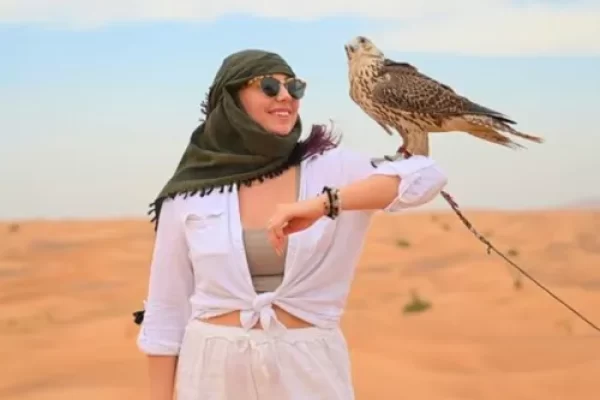 Evening Desert Safari With Falcon Photo