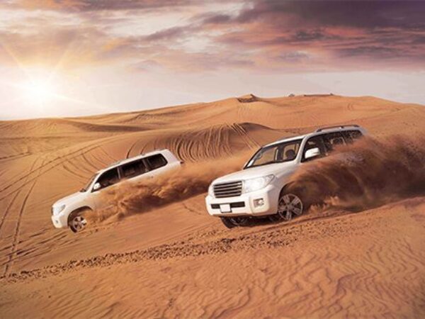 3 Hours Morning Desert Safari With Private Car