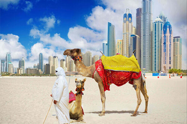 6 Hours Dubai Private City Tour