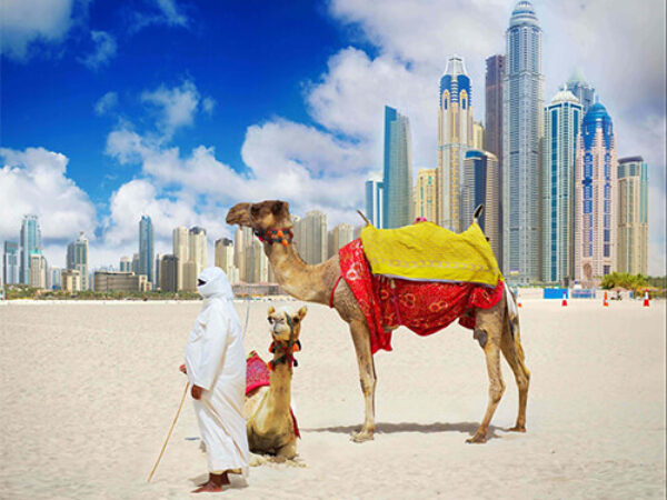 6 Hours Dubai Private City Tour